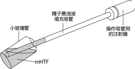 pullhtf-mhtf[1].jpg