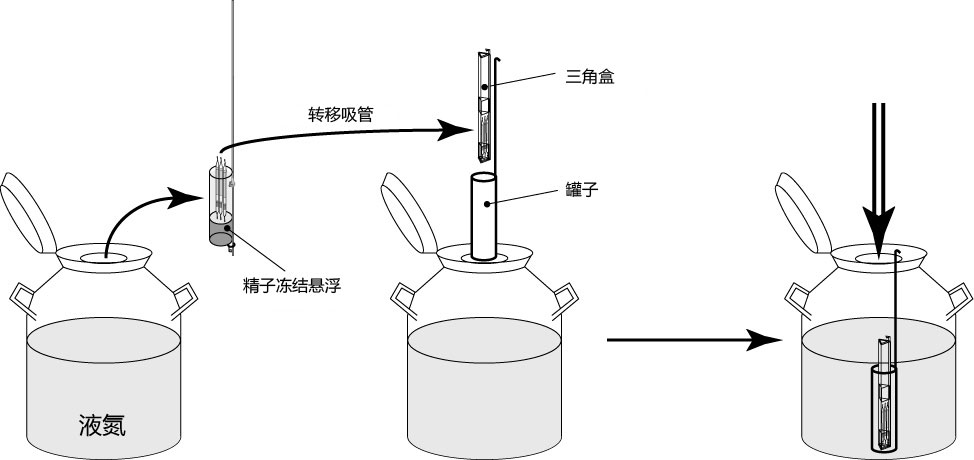 ln2tank[1].jpg