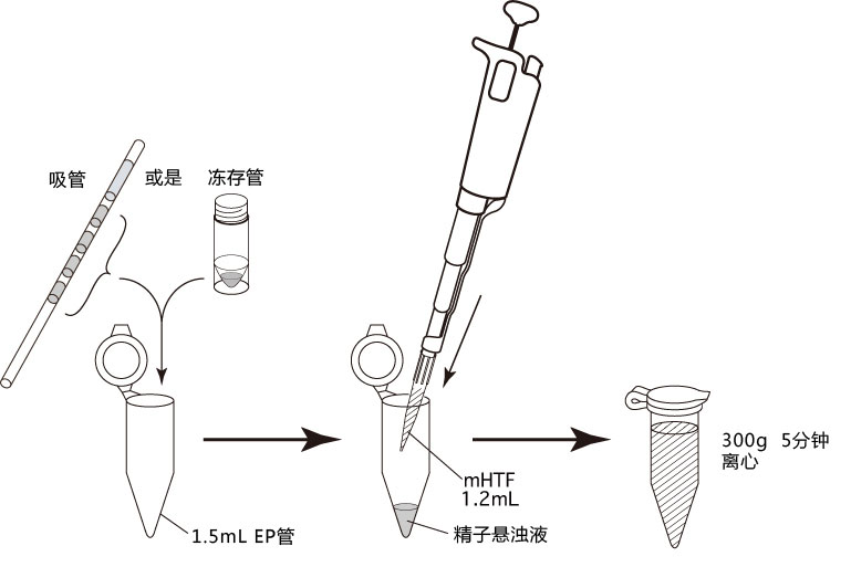 centrifuge-mhtf[1].jpg