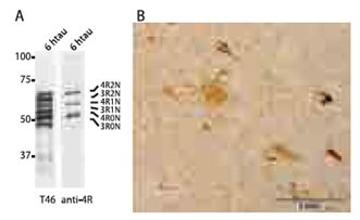 0114594923141181.png blob.png