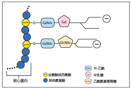 PMC_MUC01_1-.jpg