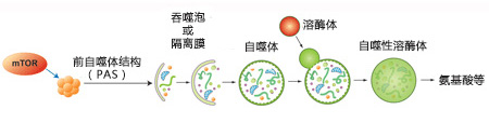 8-汉化.jpg