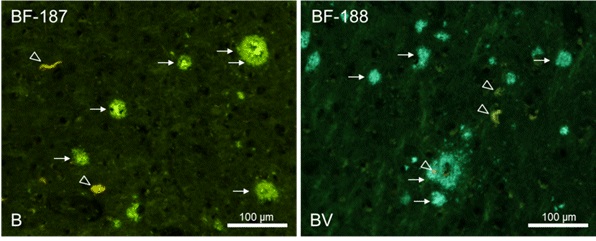 3014805015696280.jpg 3014805015696280.jpg