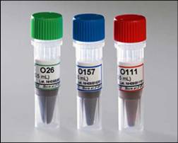 2814828920153927.jpg beads.jpg