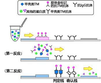 2914829784701857.jpg 2914829784701857.jpg