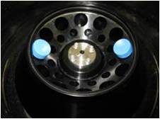 2914829784894480.jpg 图片4.jpg