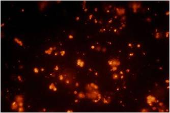 1914848146104091.jpg 1914848146104091.jpg