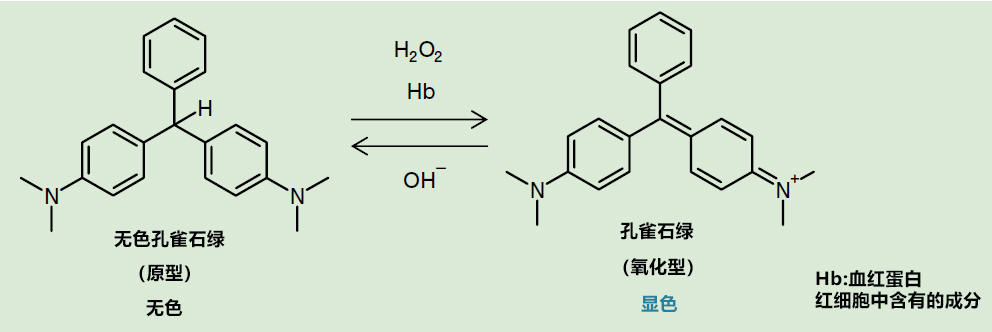 1915163277196500.jpg 1915163277196500.jpg