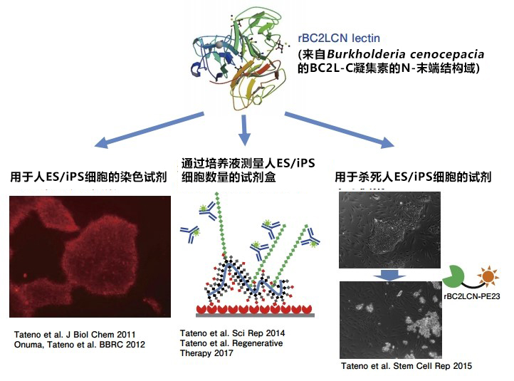 1715318121275897.jpg 1715318121275897.jpg