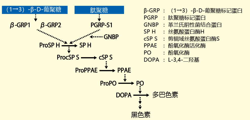 081565250479.png 081565250479.png