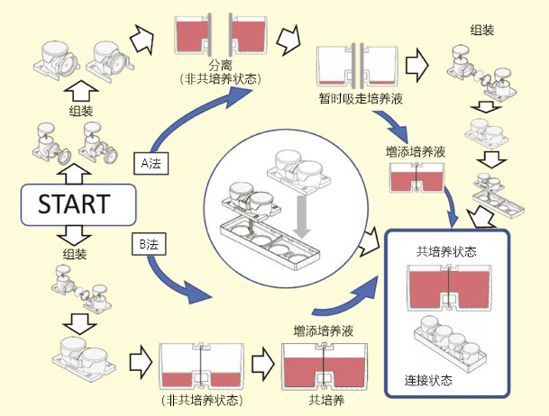 si21096_img04 拷贝.jpg