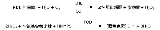 HDL-胆固醇显色.jpg