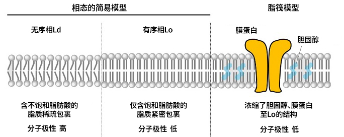 70773-FNA-2S-image.jpg