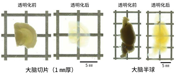 00593_img22 拷贝.jpg