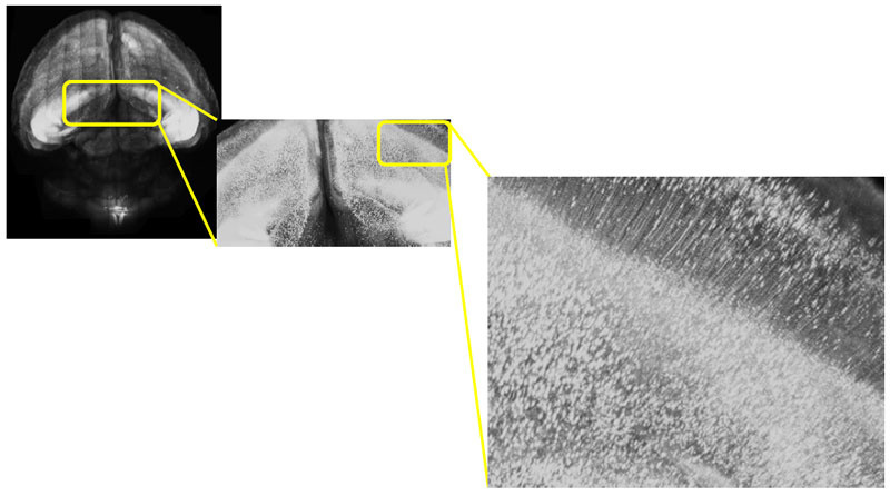 0817519537381923.jpg