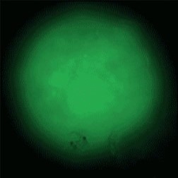 0817519634134839.jpg