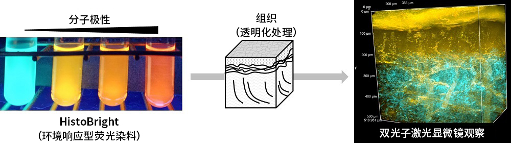 0917520445177728.jpg
