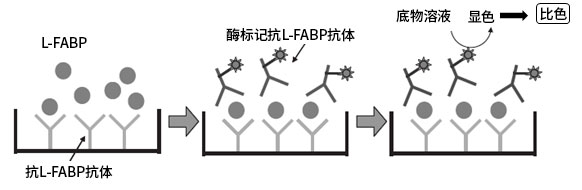 未标题-2.jpg