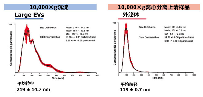 未标题-14.jpg