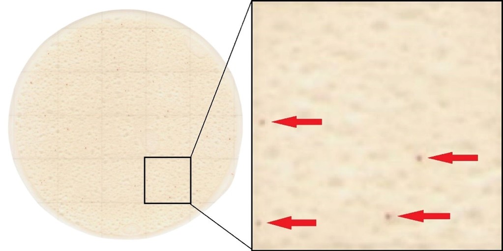 2817536898789485.jpg