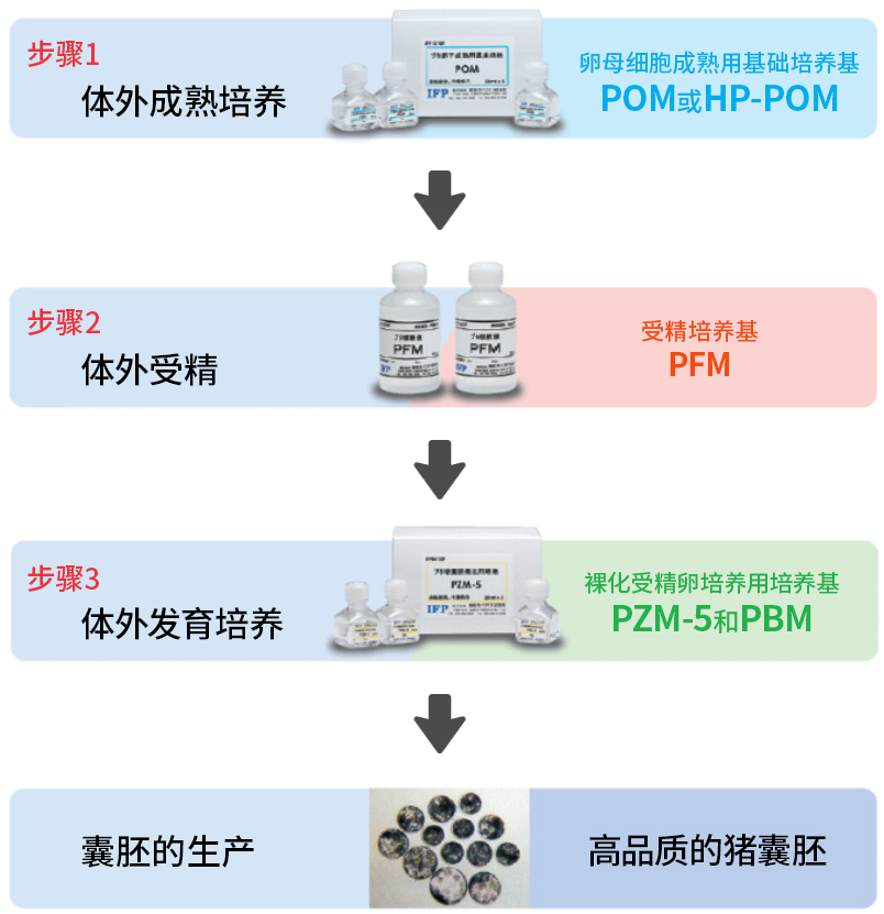 2017636241806256.jpg 2017636241806256.jpg