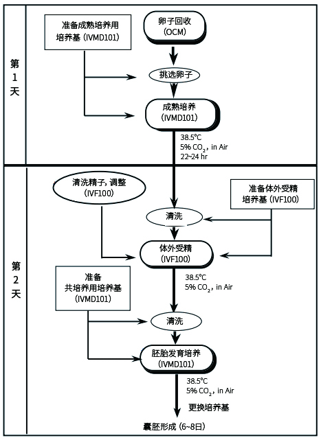 01431_img14 拷贝.jpg