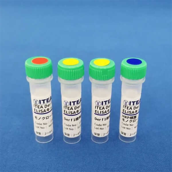 0317647347553257.jpg 03342_img06.jpg