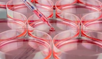 1117654178696092.jpg 6157_img03.jpg