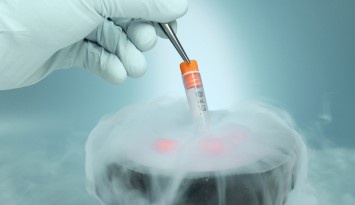 1117654207437054.jpg 6157_img05.jpg