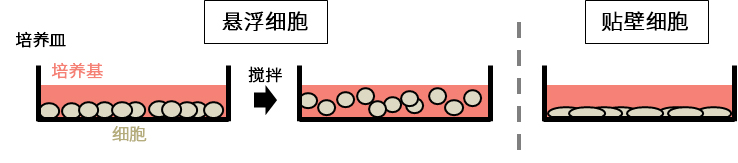 1117654224205290.jpg 1117654224205290.jpg