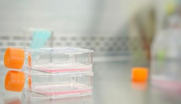 1117654225627895.jpg 6157_img07.jpg