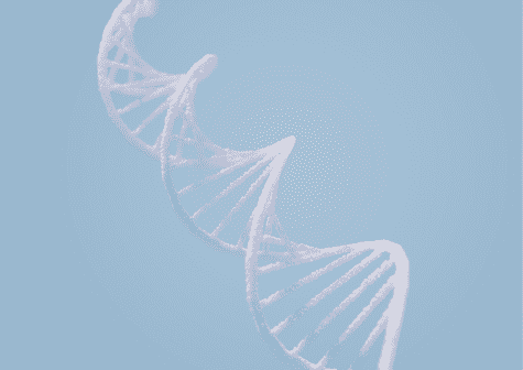 1117654327882128.png 1117654327882128.png