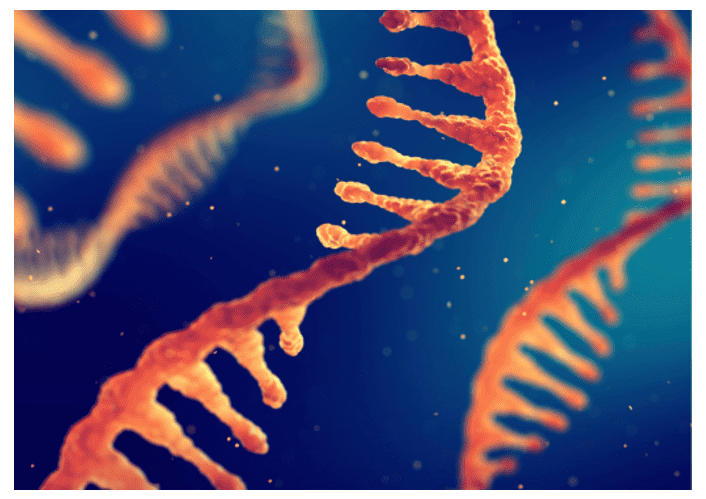 1117654330412174.png 1117654330412174.png