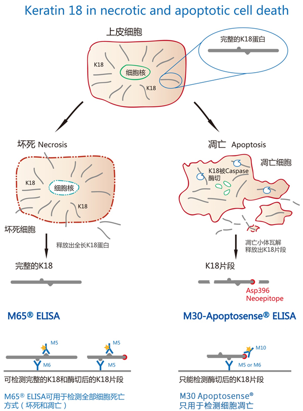 1417683638051201.jpg 071565147395 拷贝.jpg