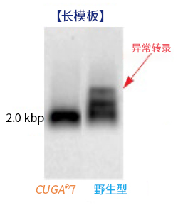 01660_img01 拷贝.jpg
