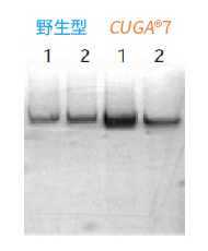 01660_img03 拷贝.jpg