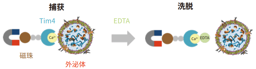 1517762199483680.png 1517762199483680.png