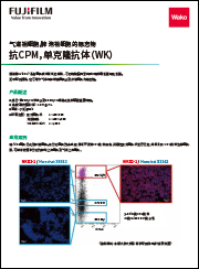【排版】抗CPM，单克隆抗体（WK）20260513_min-1.jpg