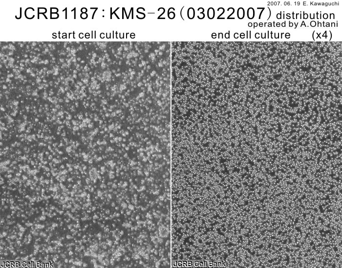 1617815909447574.jpg