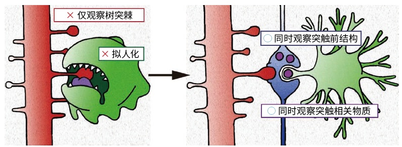 si42482_img01 拷贝.png