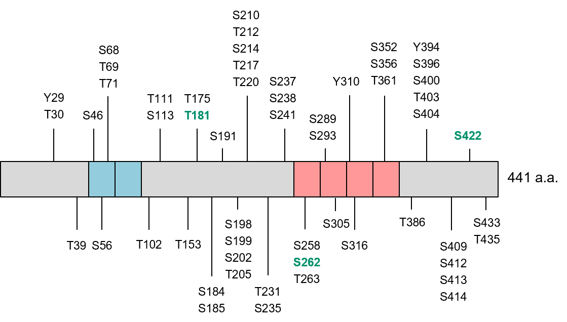 2217846883742292.png