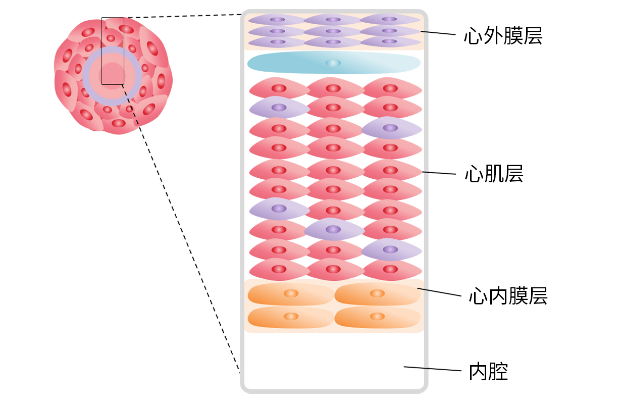 0317884054502964.jpg