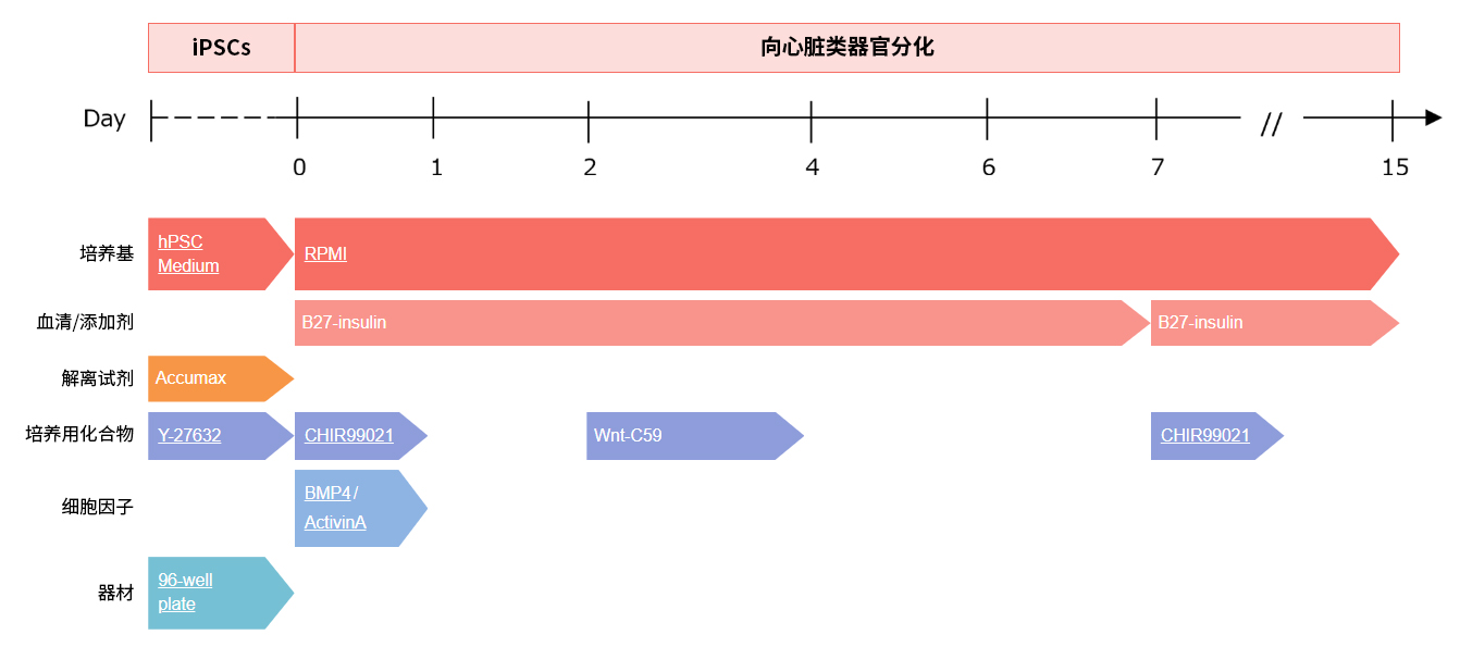0317884059864252.jpg
