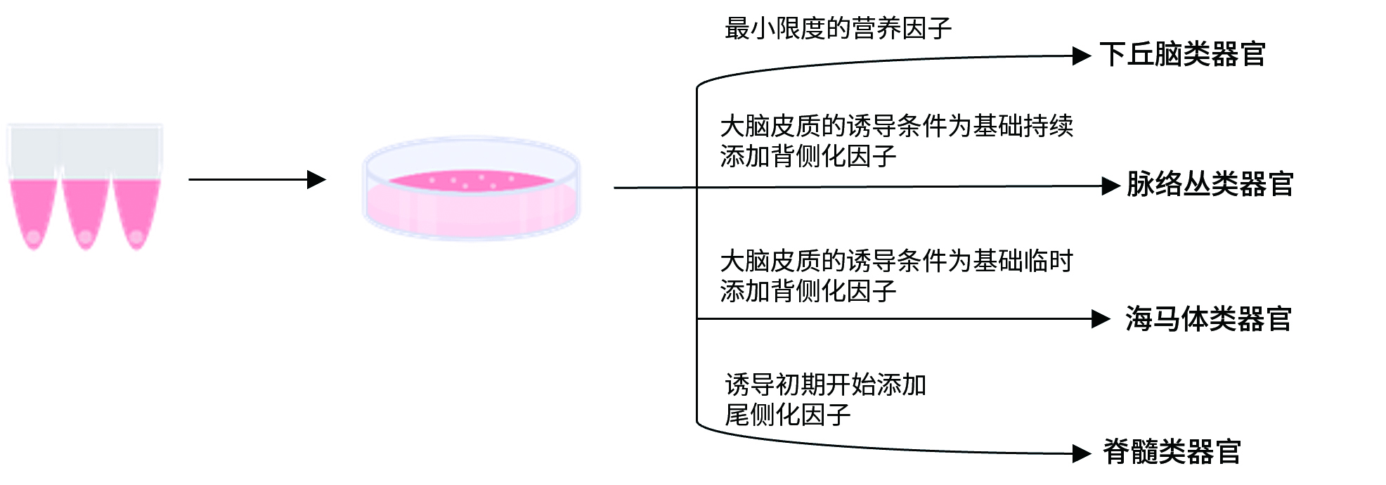 0717887622709056.jpg
